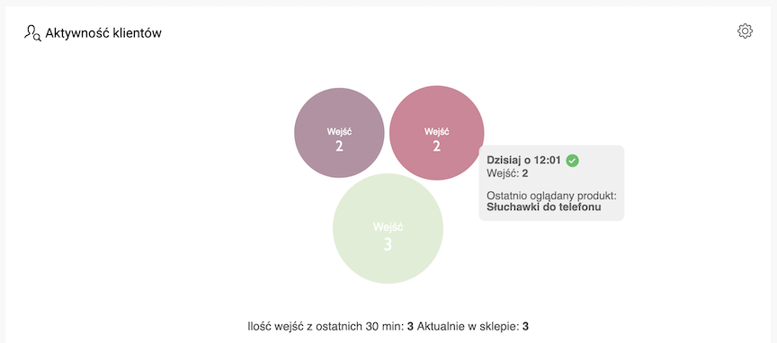 Appearance of the Customer Activity widget