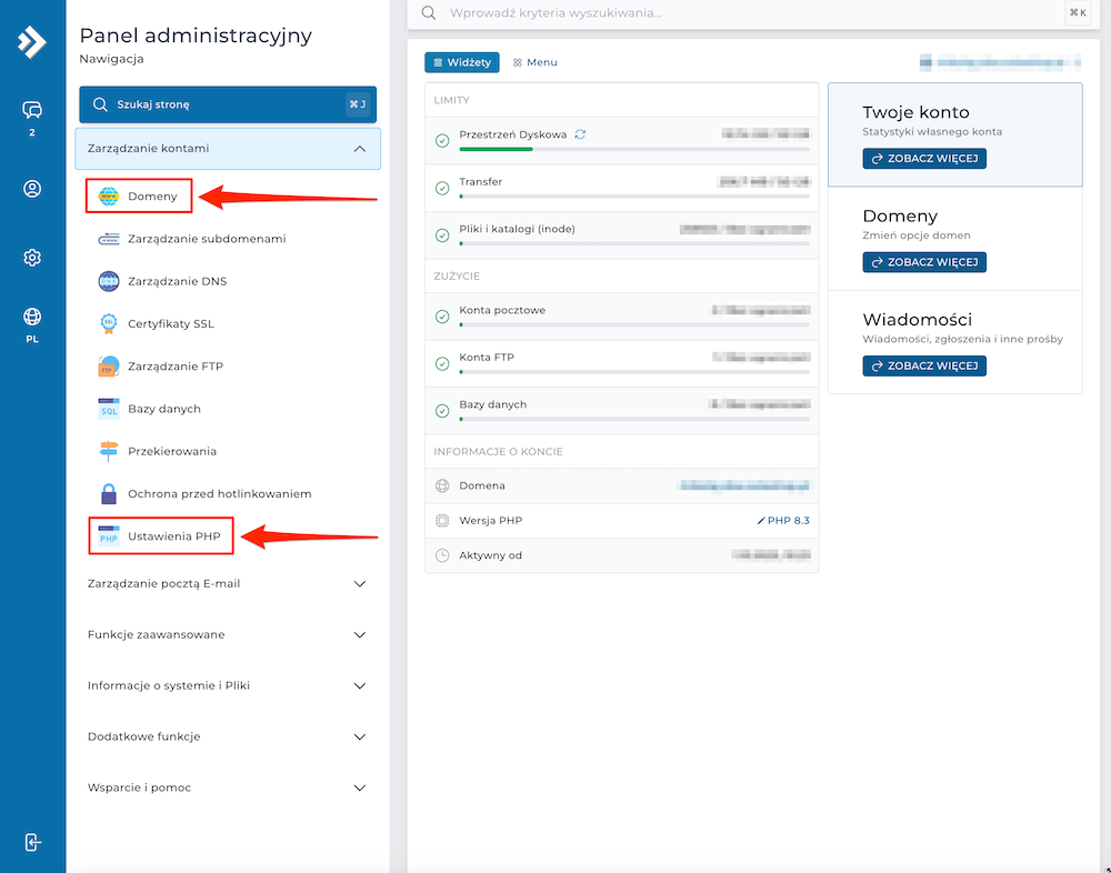 Example DirectAdmin panel interface