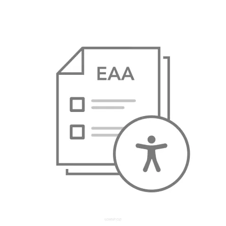 Website Audit (EAA) WCAG 2.1