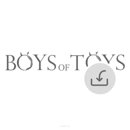 Boys of Toys Wholesale - Store Integration