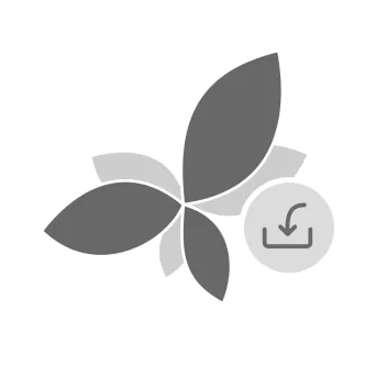 Beauty System Wholesale - Store Integration